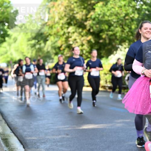 14.06.2026 - REWE Women's Run Dr. Thomas Lammeyer http://msf.ph/oto/9759280 14.06.2026 09:23:44 Laufen 10716 meine-sportfotos.de