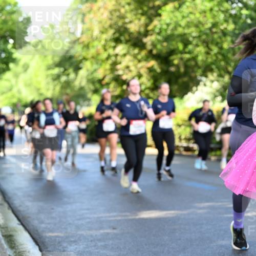 14.06.2026 - REWE Women's Run Dr. Thomas Lammeyer http://msf.ph/oto/9759282 14.06.2026 09:23:44 Laufen 10716 meine-sportfotos.de