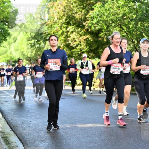 14.06.2026 - REWE Women's Run Dr. Thomas Lammeyer http://msf.ph/oto/9759398 14.06.2026 09:23:54 Laufen 11373, 57, 10536, 1107, 10458 meine-sportfotos.de