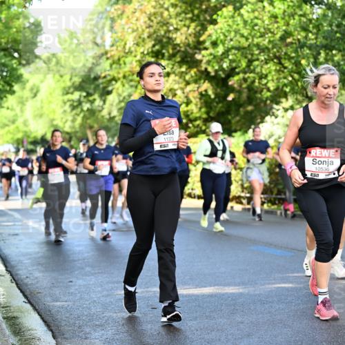 14.06.2026 - REWE Women's Run Dr. Thomas Lammeyer http://msf.ph/oto/9759405 14.06.2026 09:23:54 Laufen 11373, 10536, 7, 10458 meine-sportfotos.de