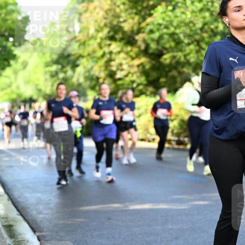 14.06.2026 - REWE Women's Run Dr. Thomas Lammeyer http://msf.ph/oto/9759423 14.06.2026 09:23:56 Laufen 11373, 7 meine-sportfotos.de