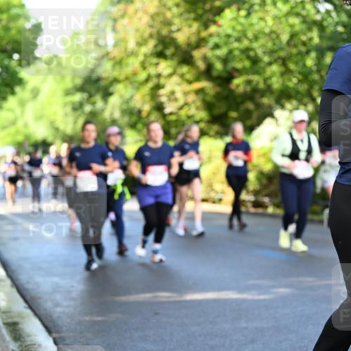 14.06.2026 - REWE Women's Run Dr. Thomas Lammeyer http://msf.ph/oto/9759425 14.06.2026 09:23:56 Laufen 1073 meine-sportfotos.de
