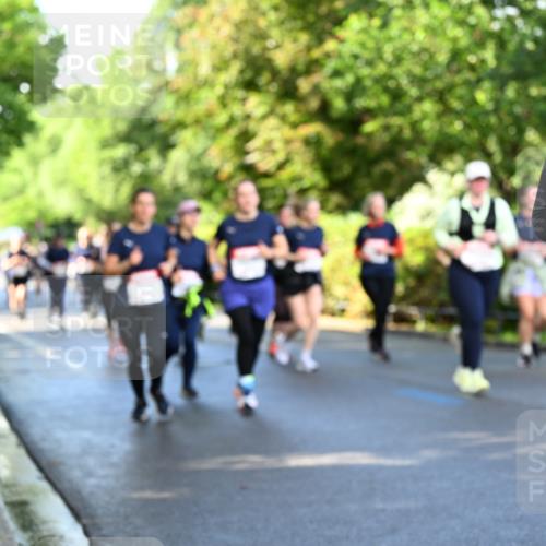 14.06.2026 - REWE Women's Run Dr. Thomas Lammeyer http://msf.ph/oto/9759427 14.06.2026 09:23:56 Laufen 1 meine-sportfotos.de