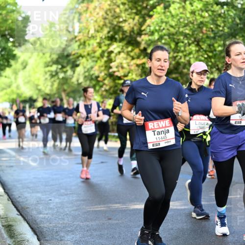 14.06.2026 - REWE Women's Run Dr. Thomas Lammeyer http://msf.ph/oto/9759464 14.06.2026 09:23:58 Laufen 11445, 7, 13695, 10596 meine-sportfotos.de