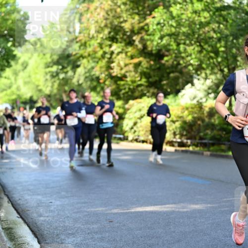 14.06.2026 - REWE Women's Run Dr. Thomas Lammeyer http://msf.ph/oto/9759511 14.06.2026 09:24:02 Laufen 11195 meine-sportfotos.de