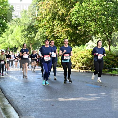 14.06.2026 - REWE Women's Run Dr. Thomas Lammeyer http://msf.ph/oto/9759532 14.06.2026 09:24:03 Laufen  meine-sportfotos.de