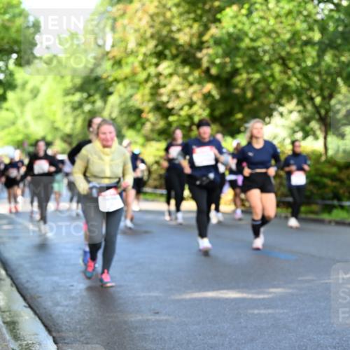 14.06.2026 - REWE Women's Run Dr. Thomas Lammeyer http://msf.ph/oto/9759617 14.06.2026 09:24:09 Laufen  meine-sportfotos.de