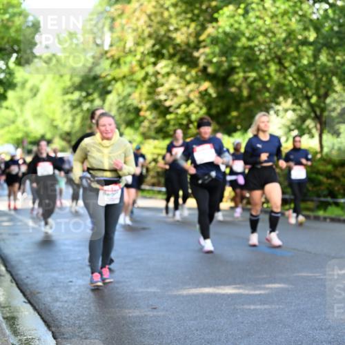14.06.2026 - REWE Women's Run Dr. Thomas Lammeyer http://msf.ph/oto/9759618 14.06.2026 09:24:09 Laufen  meine-sportfotos.de