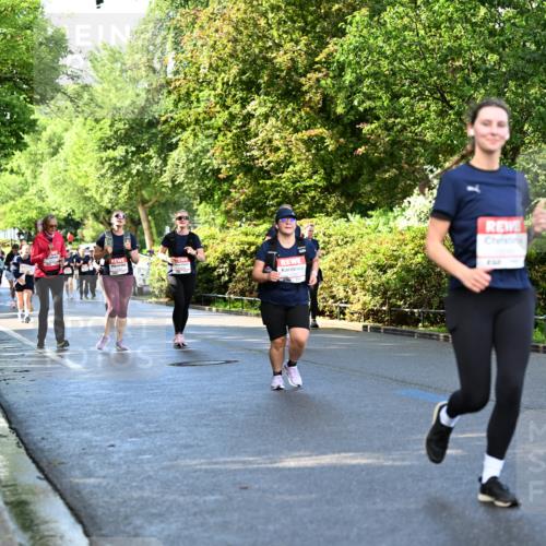 14.06.2026 - REWE Women's Run Dr. Thomas Lammeyer http://msf.ph/oto/9759757 14.06.2026 09:24:22 Laufen  meine-sportfotos.de