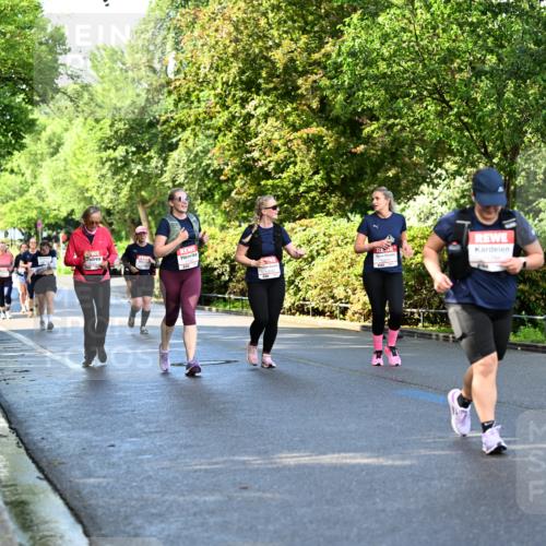 14.06.2026 - REWE Women's Run Dr. Thomas Lammeyer http://msf.ph/oto/9759791 14.06.2026 09:24:24 Laufen  meine-sportfotos.de