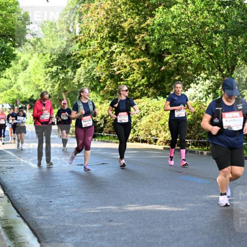 14.06.2026 - REWE Women's Run Dr. Thomas Lammeyer http://msf.ph/oto/9759793 14.06.2026 09:24:24 Laufen 0509 meine-sportfotos.de