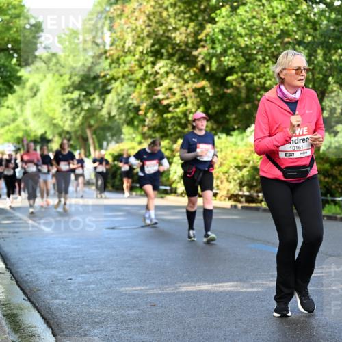14.06.2026 - REWE Women's Run Dr. Thomas Lammeyer http://msf.ph/oto/9759860 14.06.2026 09:24:29 Laufen 10161 meine-sportfotos.de