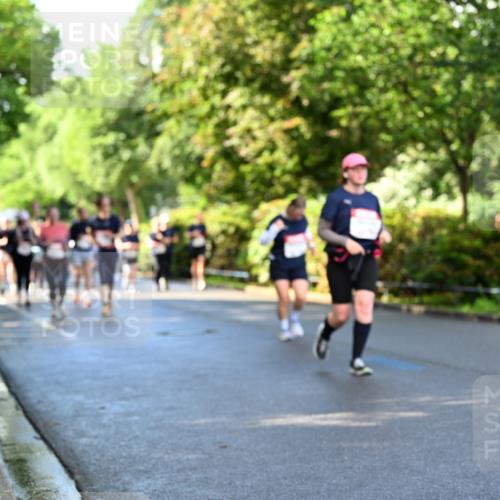 14.06.2026 - REWE Women's Run Dr. Thomas Lammeyer http://msf.ph/oto/9759873 14.06.2026 09:24:30 Laufen  meine-sportfotos.de