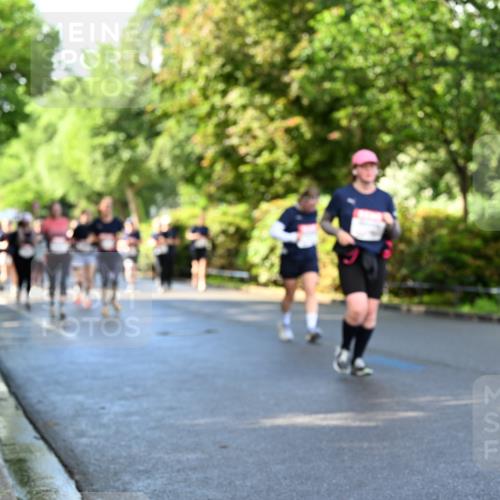 14.06.2026 - REWE Women's Run Dr. Thomas Lammeyer http://msf.ph/oto/9759875 14.06.2026 09:24:30 Laufen  meine-sportfotos.de