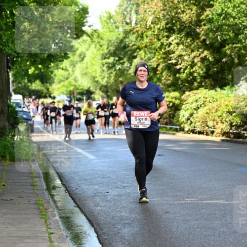 14.06.2026 - REWE Women's Run Dr. Thomas Lammeyer http://msf.ph/oto/9760188 14.06.2026 09:25:11 Laufen 10189 meine-sportfotos.de