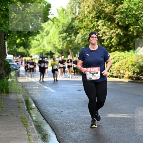 14.06.2026 - REWE Women's Run Dr. Thomas Lammeyer http://msf.ph/oto/9760200 14.06.2026 09:25:12 Laufen 10189 meine-sportfotos.de