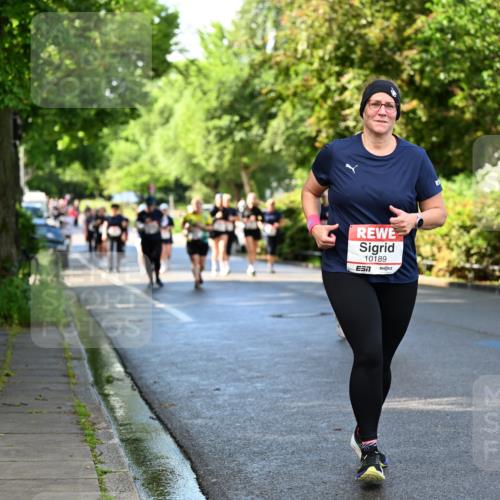 14.06.2026 - REWE Women's Run Dr. Thomas Lammeyer http://msf.ph/oto/9760210 14.06.2026 09:25:13 Laufen 10189 meine-sportfotos.de