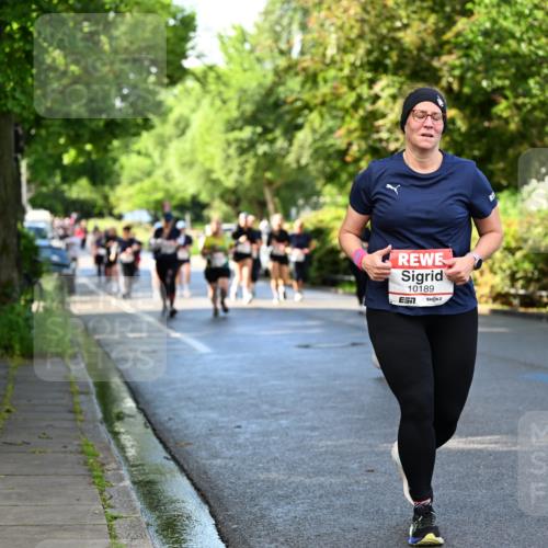 14.06.2026 - REWE Women's Run Dr. Thomas Lammeyer http://msf.ph/oto/9760211 14.06.2026 09:25:13 Laufen 10189 meine-sportfotos.de