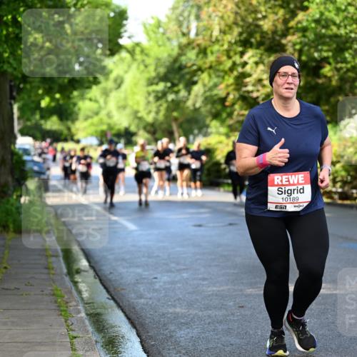 14.06.2026 - REWE Women's Run Dr. Thomas Lammeyer http://msf.ph/oto/9760213 14.06.2026 09:25:13 Laufen 10189 meine-sportfotos.de