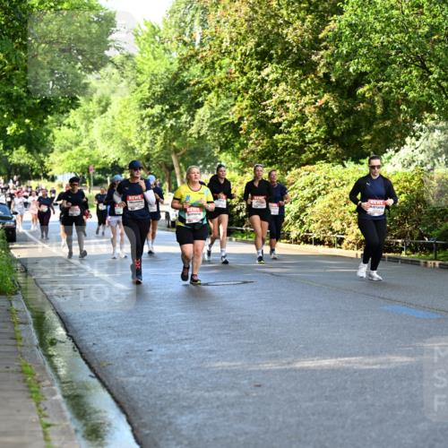 14.06.2026 - REWE Women's Run Dr. Thomas Lammeyer http://msf.ph/oto/9760232 14.06.2026 09:25:17 Laufen  meine-sportfotos.de