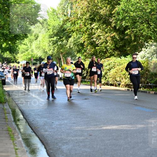 14.06.2026 - REWE Women's Run Dr. Thomas Lammeyer http://msf.ph/oto/9760237 14.06.2026 09:25:17 Laufen 2133 meine-sportfotos.de