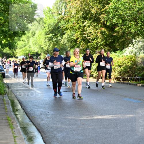 14.06.2026 - REWE Women's Run Dr. Thomas Lammeyer http://msf.ph/oto/9760264 14.06.2026 09:25:19 Laufen  meine-sportfotos.de