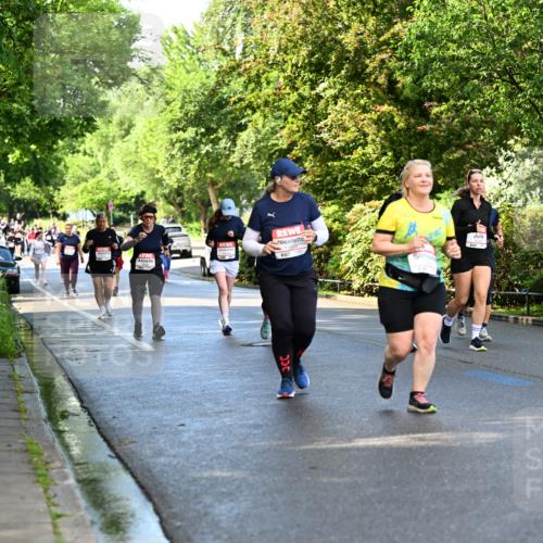 14.06.2026 - REWE Women's Run Dr. Thomas Lammeyer http://msf.ph/oto/9760290 14.06.2026 09:25:20 Laufen  meine-sportfotos.de