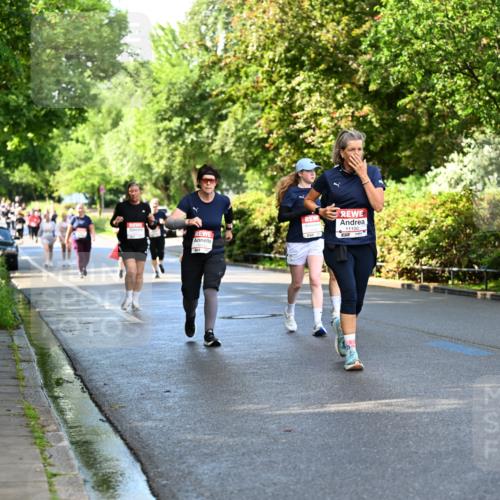 14.06.2026 - REWE Women's Run Dr. Thomas Lammeyer http://msf.ph/oto/9760333 14.06.2026 09:25:23 Laufen 11100, 11028 meine-sportfotos.de