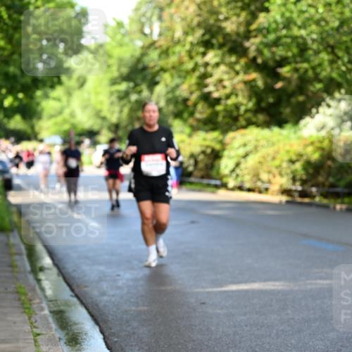 14.06.2026 - REWE Women's Run Dr. Thomas Lammeyer http://msf.ph/oto/9760387 14.06.2026 09:25:27 Laufen 10141 meine-sportfotos.de