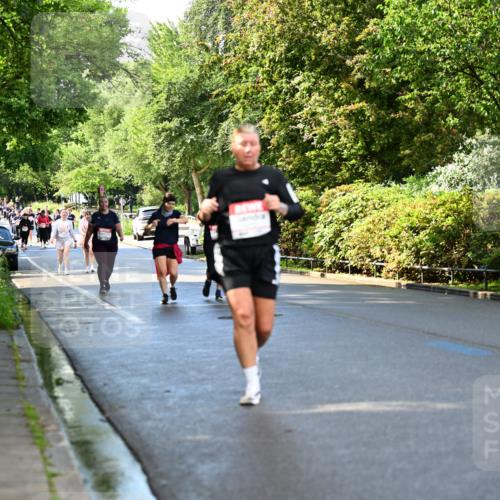 14.06.2026 - REWE Women's Run Dr. Thomas Lammeyer http://msf.ph/oto/9760397 14.06.2026 09:25:28 Laufen  meine-sportfotos.de