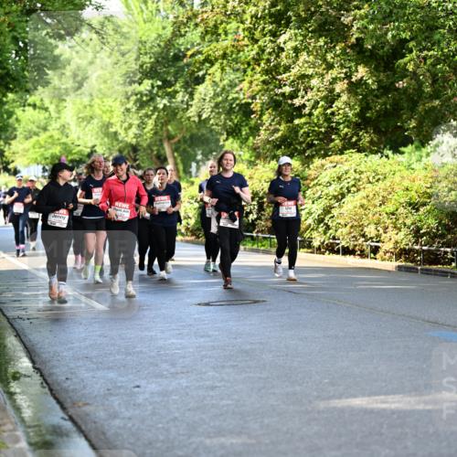 14.06.2026 - REWE Women's Run Dr. Thomas Lammeyer http://msf.ph/oto/9760486 14.06.2026 09:25:52 Laufen 11484 meine-sportfotos.de