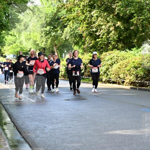 14.06.2026 - REWE Women's Run Dr. Thomas Lammeyer http://msf.ph/oto/9760488 14.06.2026 09:25:52 Laufen 11364, 11484 meine-sportfotos.de
