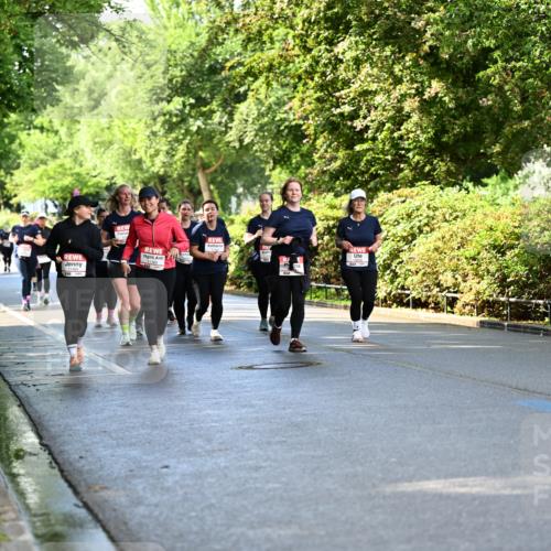 14.06.2026 - REWE Women's Run Dr. Thomas Lammeyer http://msf.ph/oto/9760494 14.06.2026 09:25:53 Laufen  meine-sportfotos.de