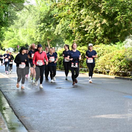 14.06.2026 - REWE Women's Run Dr. Thomas Lammeyer http://msf.ph/oto/9760499 14.06.2026 09:25:53 Laufen  meine-sportfotos.de