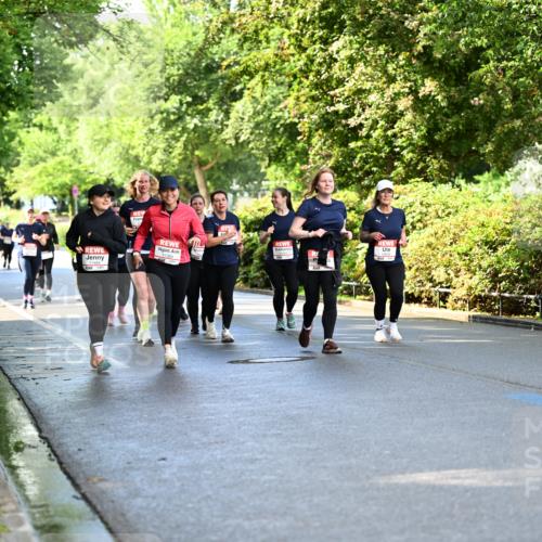 14.06.2026 - REWE Women's Run Dr. Thomas Lammeyer http://msf.ph/oto/9760504 14.06.2026 09:25:53 Laufen  meine-sportfotos.de
