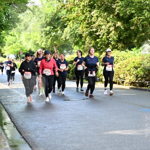 14.06.2026 - REWE Women's Run Dr. Thomas Lammeyer http://msf.ph/oto/9760506 14.06.2026 09:25:54 Laufen  meine-sportfotos.de