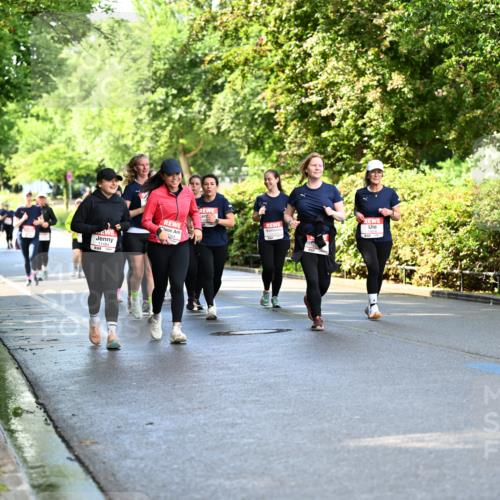 14.06.2026 - REWE Women's Run Dr. Thomas Lammeyer http://msf.ph/oto/9760511 14.06.2026 09:25:54 Laufen 11484 meine-sportfotos.de