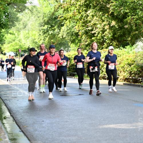 14.06.2026 - REWE Women's Run Dr. Thomas Lammeyer http://msf.ph/oto/9760516 14.06.2026 09:25:54 Laufen 11484 meine-sportfotos.de