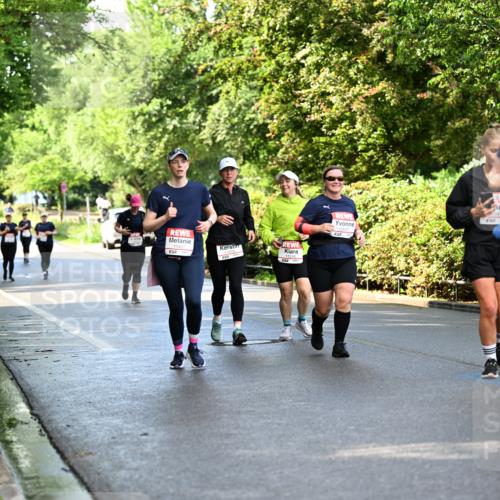 14.06.2026 - REWE Women's Run Dr. Thomas Lammeyer http://msf.ph/oto/9760658 14.06.2026 09:26:03 Laufen 11216, 57 meine-sportfotos.de