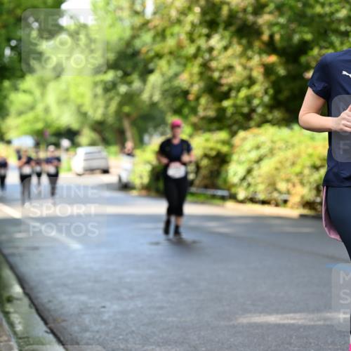 14.06.2026 - REWE Women's Run Dr. Thomas Lammeyer http://msf.ph/oto/9760703 14.06.2026 09:26:08 Laufen 10437 meine-sportfotos.de