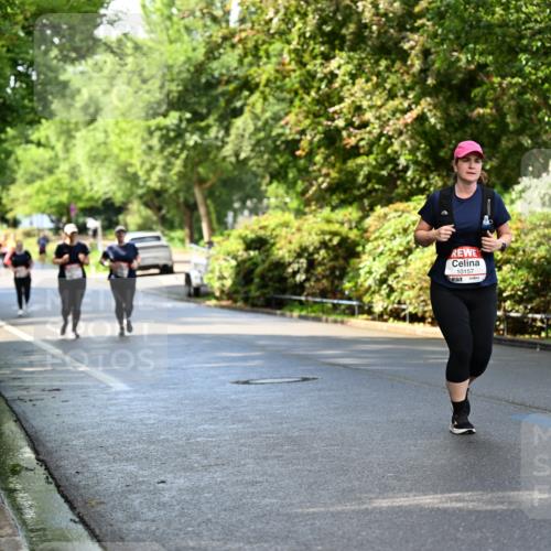 14.06.2026 - REWE Women's Run Dr. Thomas Lammeyer http://msf.ph/oto/9760722 14.06.2026 09:26:11 Laufen 10157 meine-sportfotos.de
