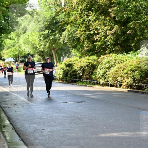 14.06.2026 - REWE Women's Run Dr. Thomas Lammeyer http://msf.ph/oto/9760783 14.06.2026 09:26:15 Laufen  meine-sportfotos.de