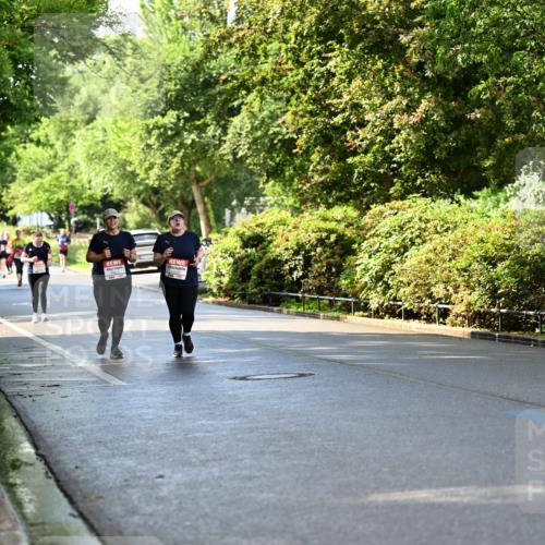 14.06.2026 - REWE Women's Run Dr. Thomas Lammeyer http://msf.ph/oto/9760785 14.06.2026 09:26:15 Laufen  meine-sportfotos.de