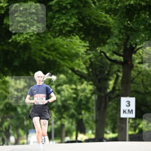 14.06.2026 - REWE Women's Run Dr. Thomas Lammeyer http://msf.ph/oto/9761536 14.06.2026 09:33:16 Laufen 1002, 3 meine-sportfotos.de