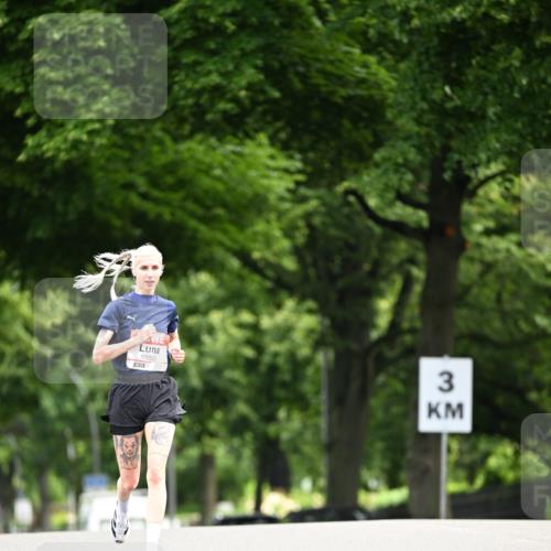 14.06.2026 - REWE Women's Run Dr. Thomas Lammeyer http://msf.ph/oto/9761539 14.06.2026 09:33:16 Laufen 10020, 3 meine-sportfotos.de