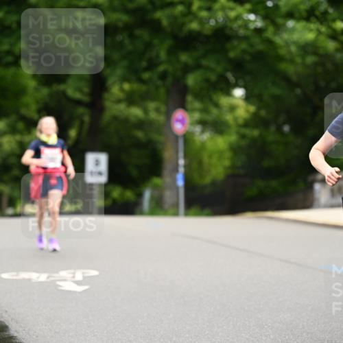14.06.2026 - REWE Women's Run Dr. Thomas Lammeyer http://msf.ph/oto/9762844 14.06.2026 09:36:17 Laufen 10102 meine-sportfotos.de
