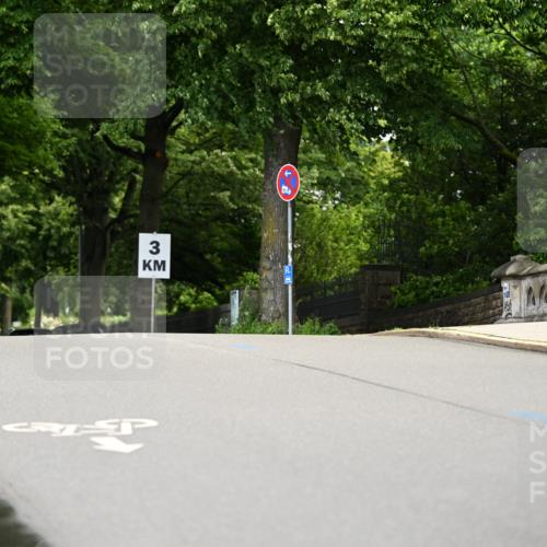 14.06.2026 - REWE Women's Run Dr. Thomas Lammeyer http://msf.ph/oto/9762957 14.06.2026 09:36:32 Laufen 5, 0, 3 meine-sportfotos.de