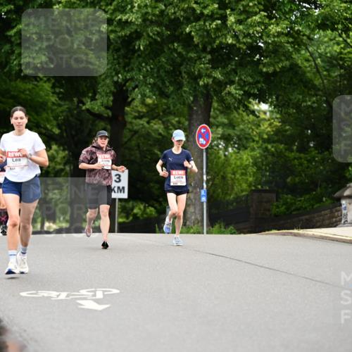 14.06.2026 - REWE Women's Run Dr. Thomas Lammeyer http://msf.ph/oto/9763424 14.06.2026 09:37:26 Laufen 3 meine-sportfotos.de