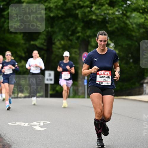 14.06.2026 - REWE Women's Run Dr. Thomas Lammeyer http://msf.ph/oto/9763514 14.06.2026 09:37:33 Laufen 11388 meine-sportfotos.de