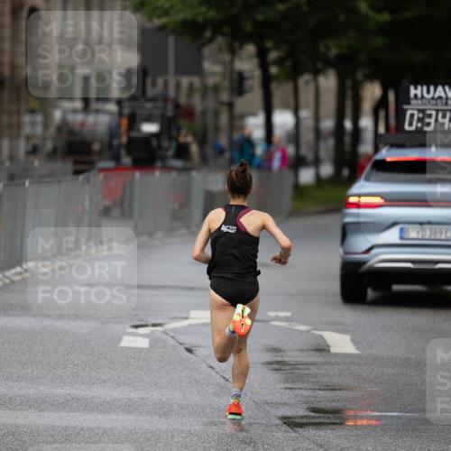 14.06.2026 - REWE Women's Run Michael Strokosch http://msf.ph/oto/9779980 14.06.2026 09:35:18 Laufen 0, 34, 52 meine-sportfotos.de